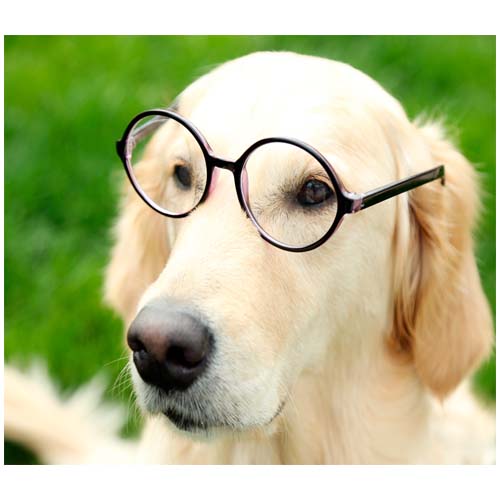 cuidado-oftalmologico